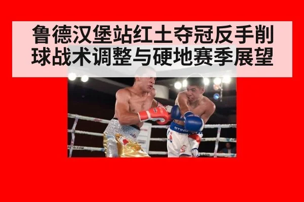 鲁德汉堡站红土夺冠反手削球战术调整与硬地赛季展望