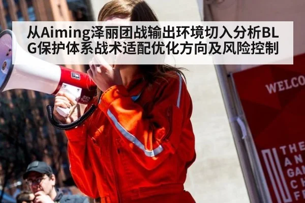 从Aiming泽丽团战输出环境切入分析BLG保护体系战术适配优化方向及风险控制
